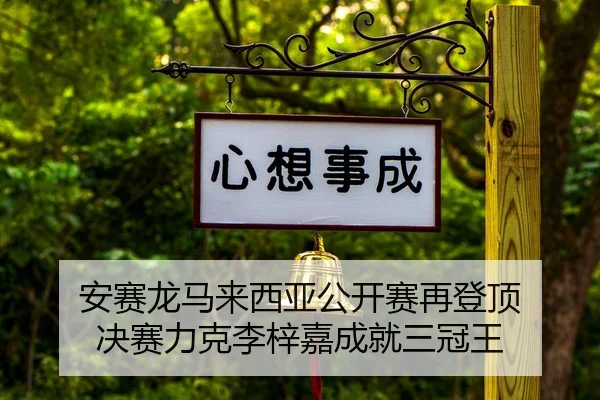an-sai-long-ma-lai-xi-ya-gong-kai-sai-zai-deng-ding-jue-sai-li-ke-li-zi-jia-cheng-jiu-san-guan-wang-2-674.jpg